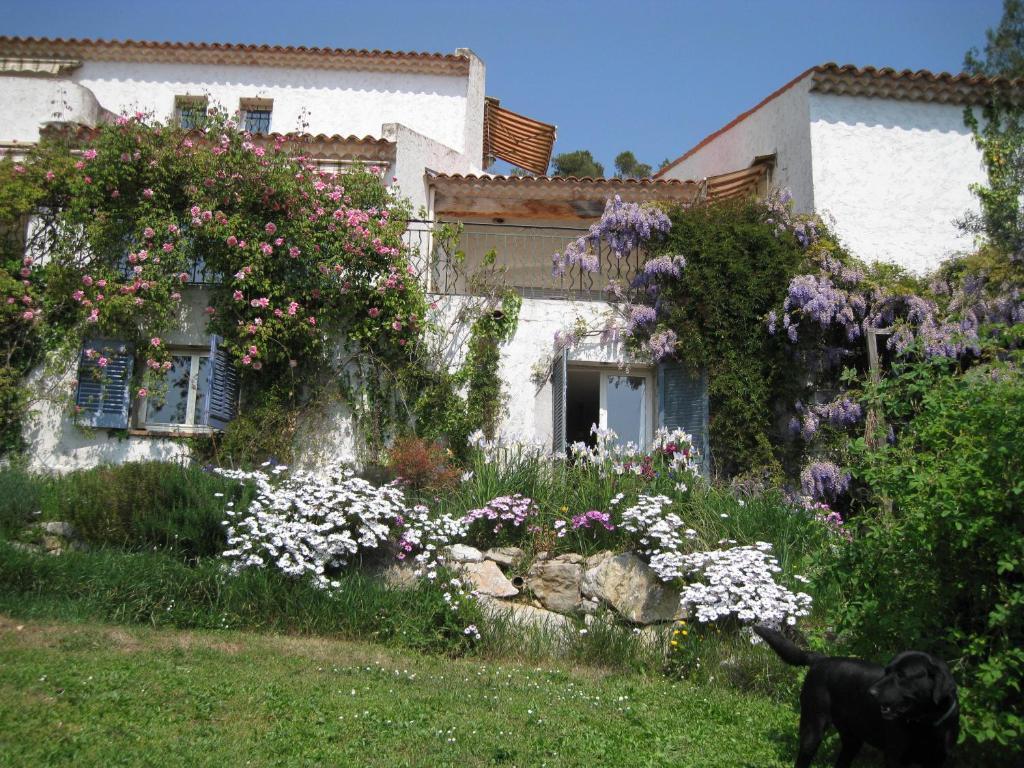La Colombiere Bed and Breakfast Grasse Rum bild